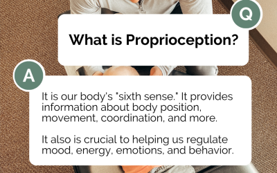 Proprioception and Chiropractic: The Missing Piece in Your Child’s Development Puzzle👶