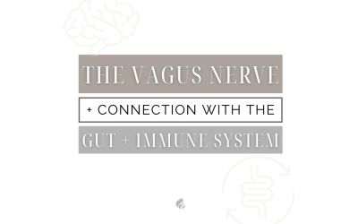 Understanding the Connection Between Vagus Nerve Disorders and Your Child’s Neurological Challenges✨👶