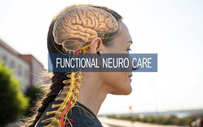 A Guide to Functional Neurology Chiropractic