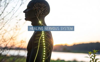 Healing a Dysregulated Nervous System