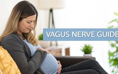 Vagus Nerve and Pregnancy Guide