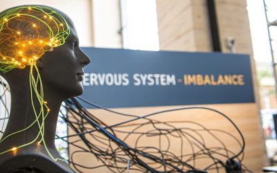 What Is a Dysregulated Nervous System?