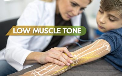 Low Muscle Tone Autism Spectrum Guide