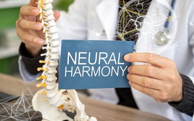 Chiropractic and the Nervous System Explained