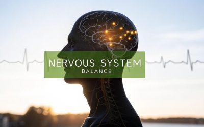 A Guide to Nervous System Regulation