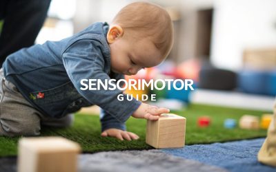 A Quick Guide to stages of sensorimotor development