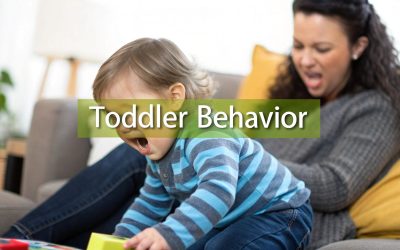 behavior problems in toddlers: a practical guide