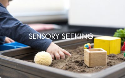 Sensory Seeking Behavior: A Practical Guide for Parents