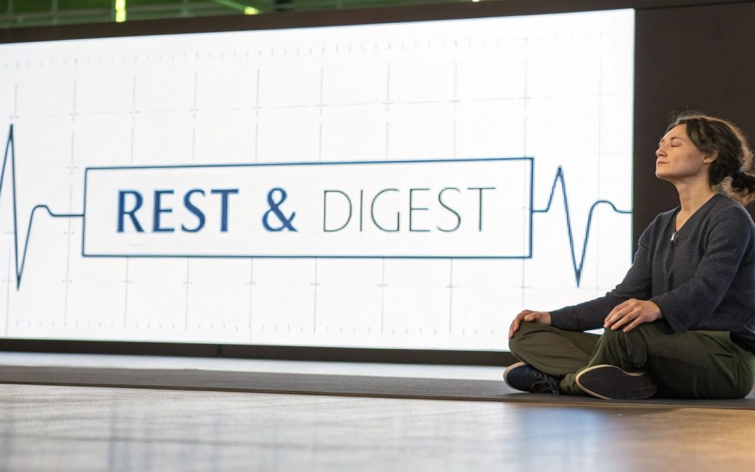 Stimulation of the parasympathetic nervous system: Simple ways to calm stress