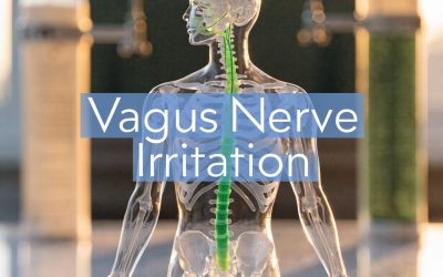 Symptoms of Vagus Nerve Irritation What You Should Know
