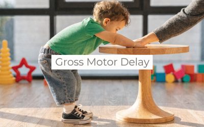 Gross Motor Delay: A Parent’s Complete Guide
