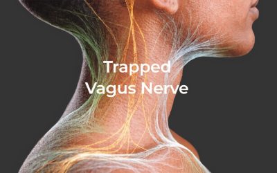 Trapped Vagus Nerve: A Guide to Symptoms & Natural Relief