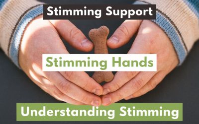 Autism Stimming Hands: Understanding & Support