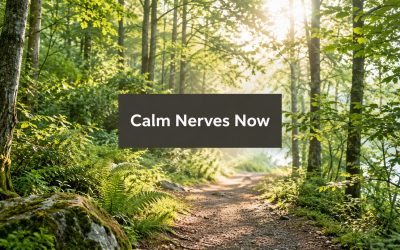 Nervous System Dysregulation Help That Actually Works